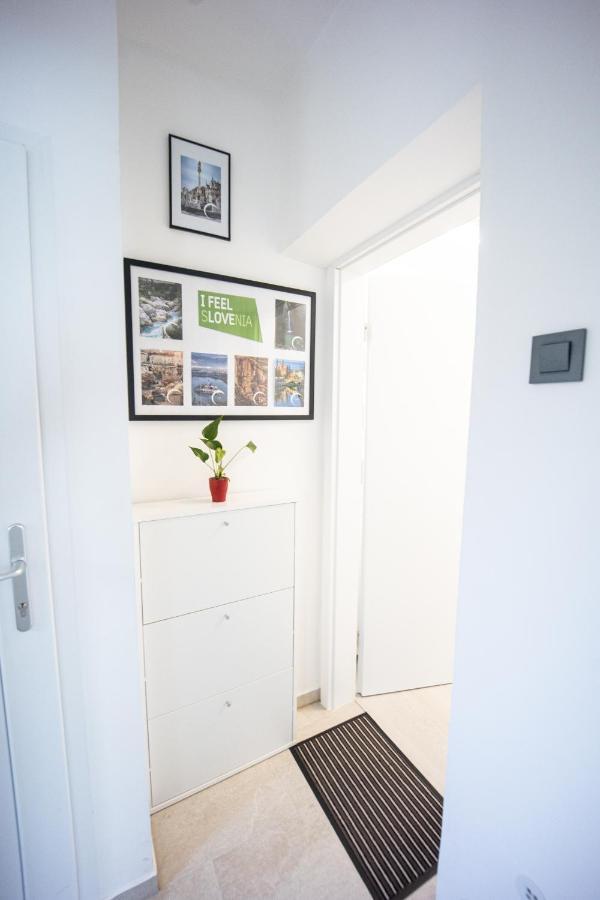 Apartment Mari&Bor Maribor Ngoại thất bức ảnh